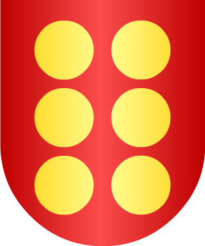 ESCUDO SIGUIENTE
